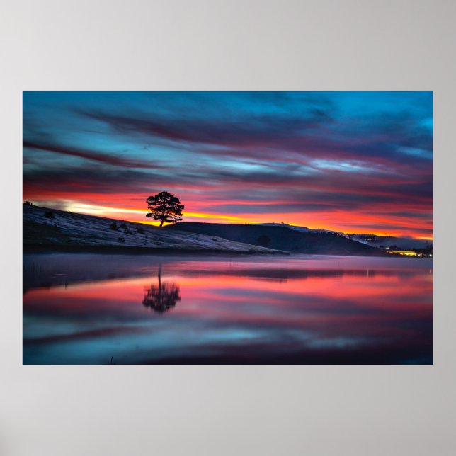 Póster Durante La Hora De Oro, Un Árbol Refleja Un Cuerpo (Frente)