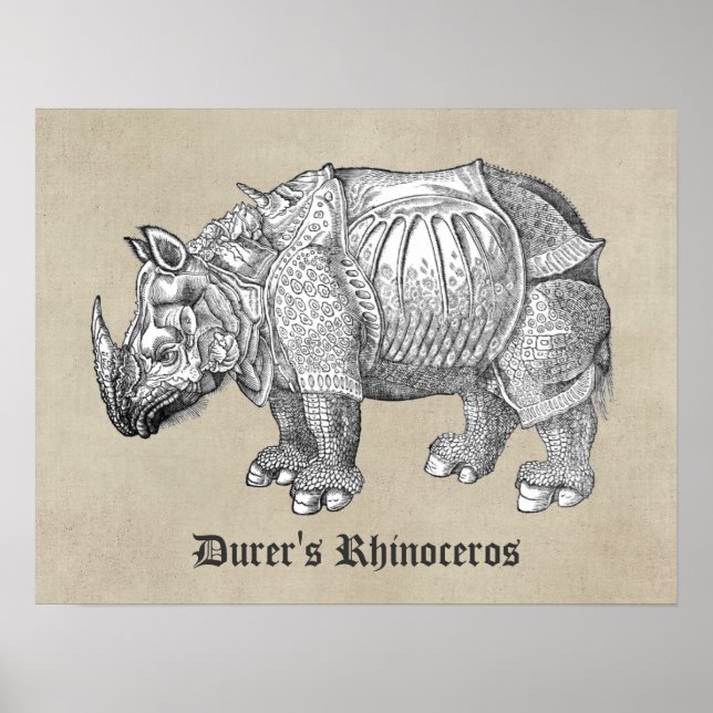 Póster Durer Rhino (Frente)