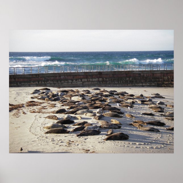 Póster Duro día en el surf (Frente)