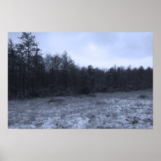 Póster Dusting of Snow at the Bog