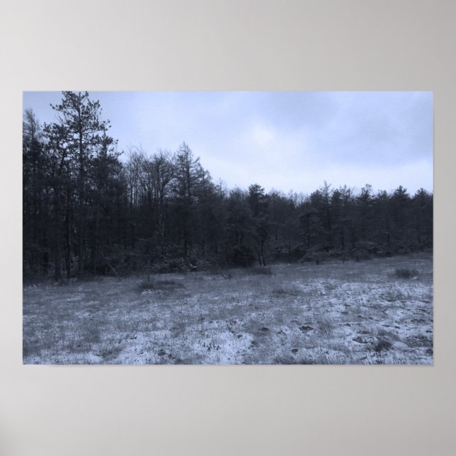 Póster Dusting of Snow at the Bog (Frente)