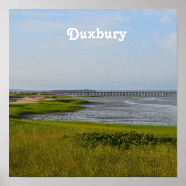 Póster Duxbury de punto de polvo (Frente)