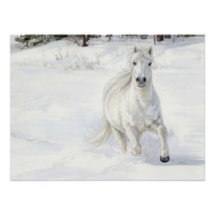 Póster Dyfra el caballo islandés galopando en la nieve