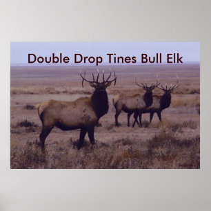 Póster E19 Doble Tines De Doble Caída De Cuello De Toro