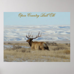 Póster E22 Alce Toro Colinas Nevadas