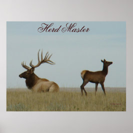 Póster E5 Alce Toro y Cría