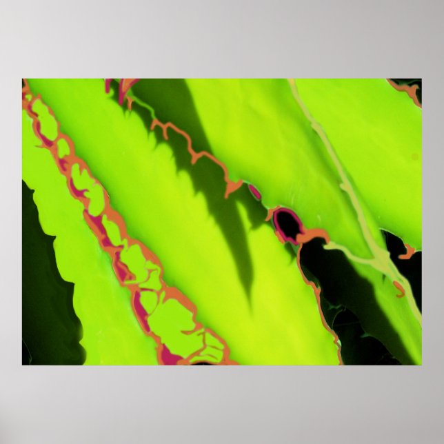 POSTER E IMPRESIONES (Frente)