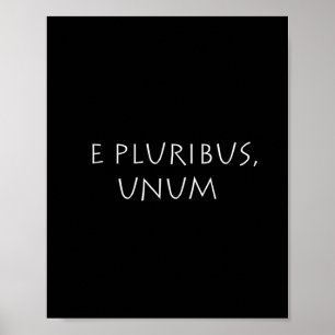 Póster E pluribus unum