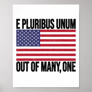 Póster E Pluribus Unum Bandera De Usa Para Mujeres Hombre
