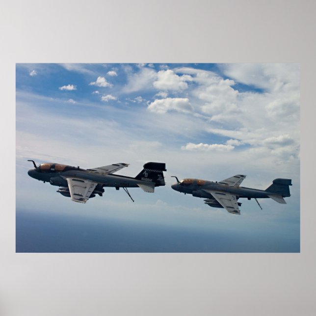 Póster EA-6B Prowler (Frente)