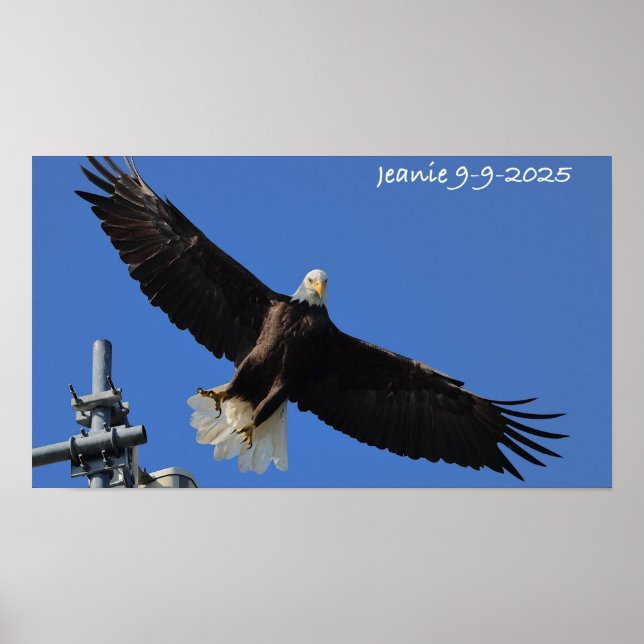 Póster Eagle (Frente)