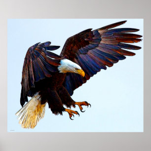 PÓSTER EAGLE