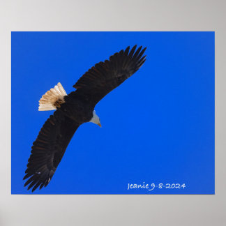 Póster Eagle against a blue sky