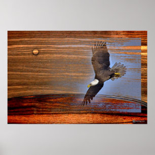 PÓSTER EAGLE CALVO