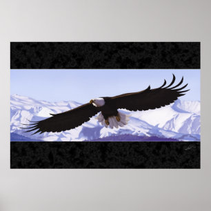 Póster Eagle calvo