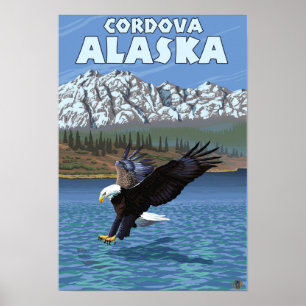 Póster Eagle calvo que se zambulle - Cordova, Alaska