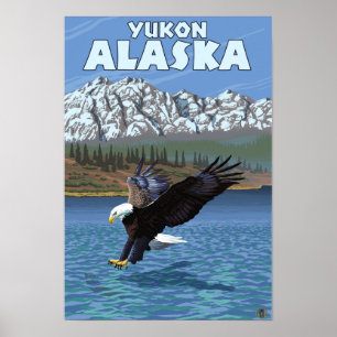 Póster Eagle calvo que se zambulle - el Yukón, Alaska