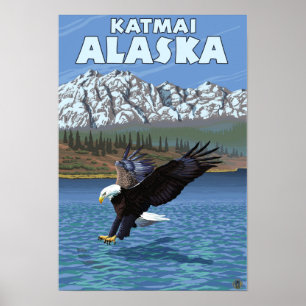 Póster Eagle calvo que se zambulle - Katmai, Alaska