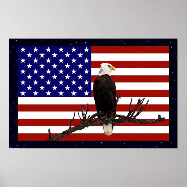 Póster Eagle Calvo Vigilante (Frente)