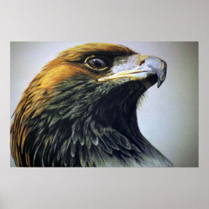 Póster Eagle de oro