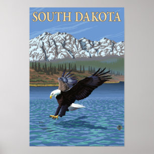 Póster Eagle DivingSouth Dakota