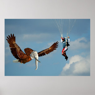 Póster Eagle elefante elegante