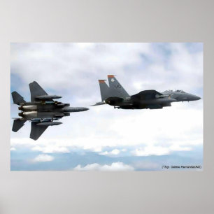 Póster eagle flight