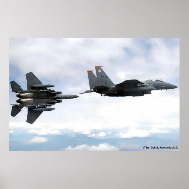 Póster eagle flight (Frente)