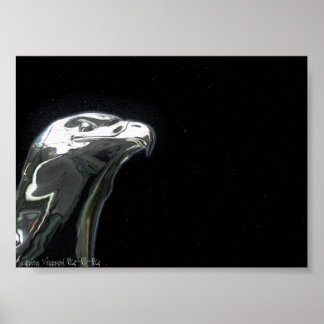 Póster eagle linden