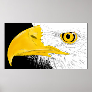 Póster Eagle Line Art
