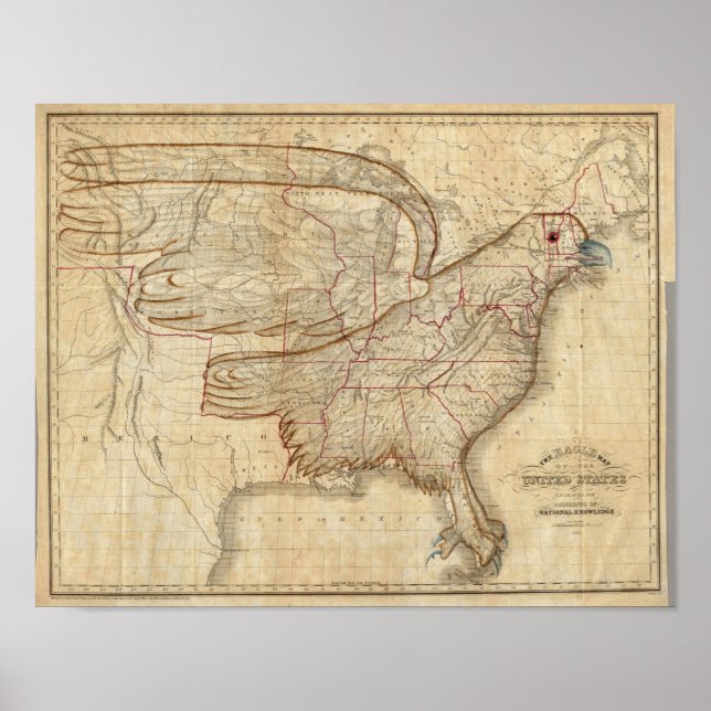 Póster Eagle Map of the United States (Frente)