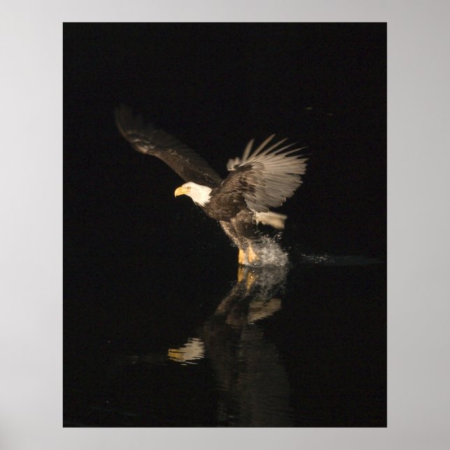 PÓSTER EAGLE NOCTURNA (Frente)