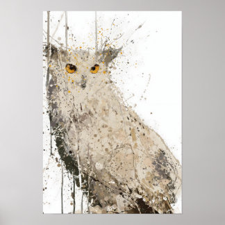 Póster Eagle Owl