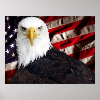 Póster Eagle Patriotic