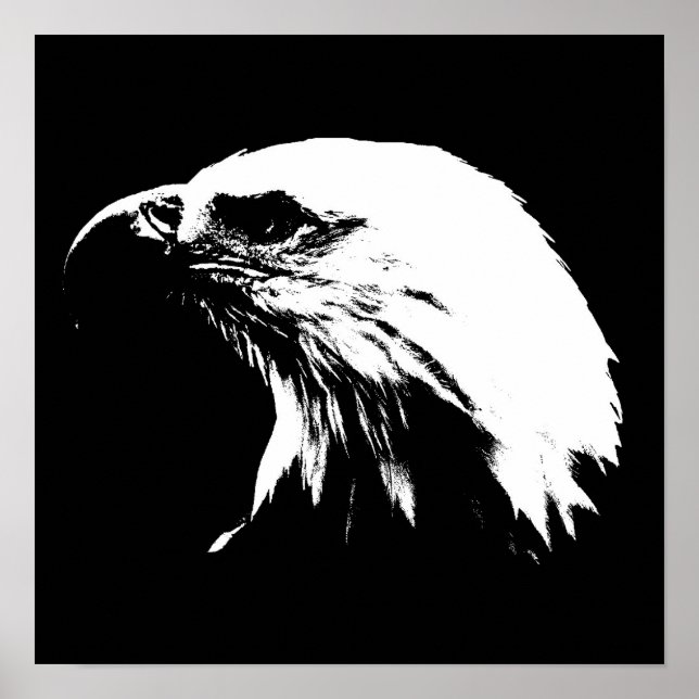Póster Eagle Poster (Frente)