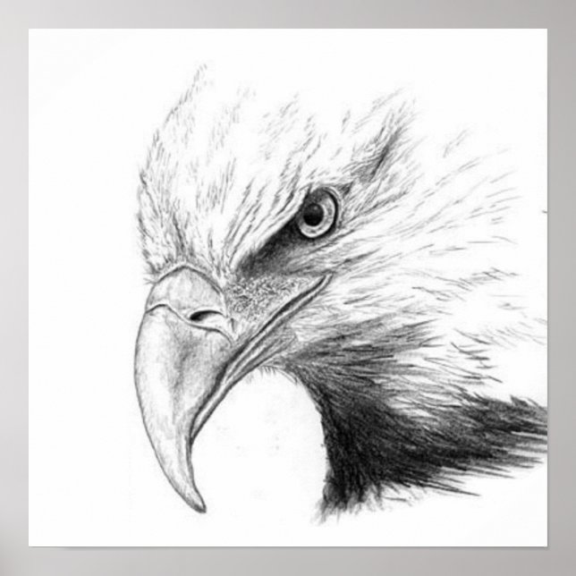 PÓSTER EAGLE SKETCH (Frente)