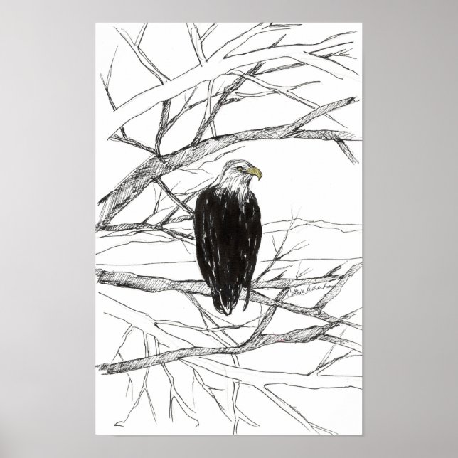 Póster Eagle Tree Desert Landscape Ink Sketch (Frente)