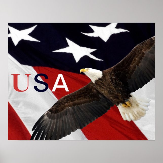 Póster Eagle y la bandera de los Estados Unidos (Frente)