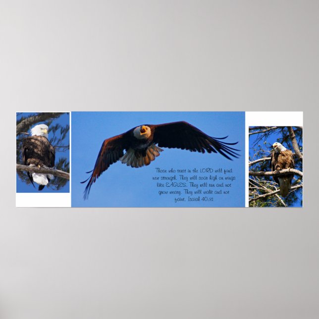 Póster Eagles (Frente)