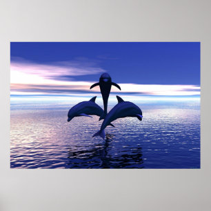 Póster Early Morning Dolphins