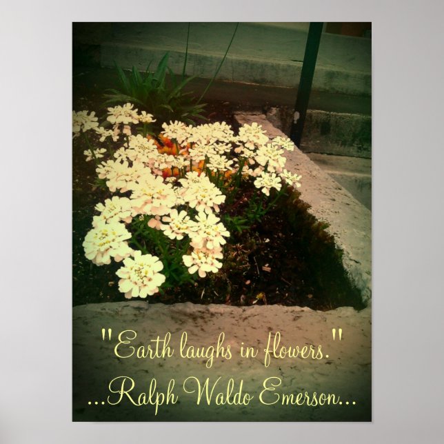 Póster Earth Laughs in Flowers (Frente)
