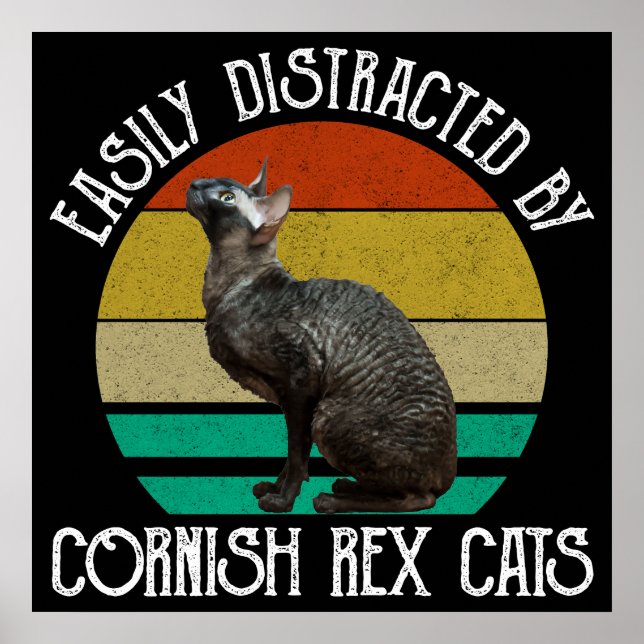 Póster Easily Distracted By Cornish Rex Cats (Frente)