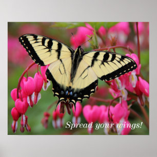 Póster Eastern Swallowtail