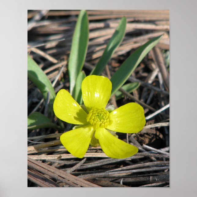 Póster eb914d3d831da7681f0eff33fe3afaf5_200 (Frente)