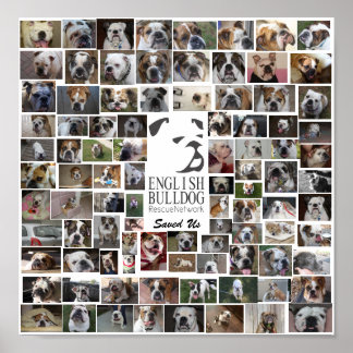 Póster EBRN Rescue Poster