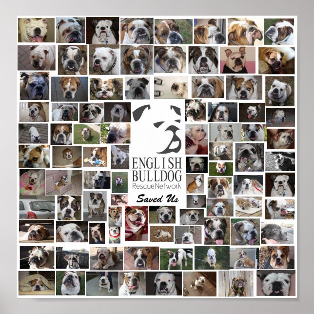 Póster EBRN Rescue Poster (Frente)