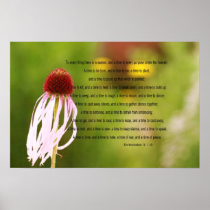 Póster Ecclesiastes versifica el poster