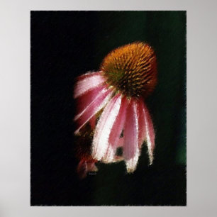 Póster Echinacea Silhouette