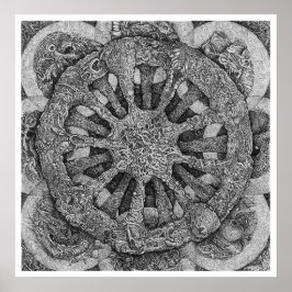 Póster Echinidermatter