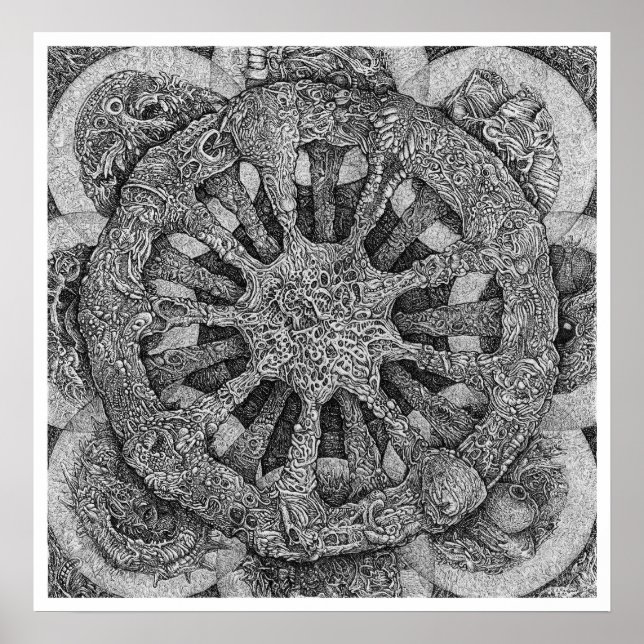 Póster Echinidermatter (Frente)